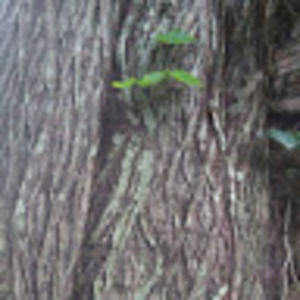 Meet your Posher, Mariel